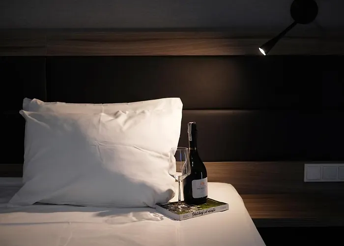 马苏里克酒店 酒店